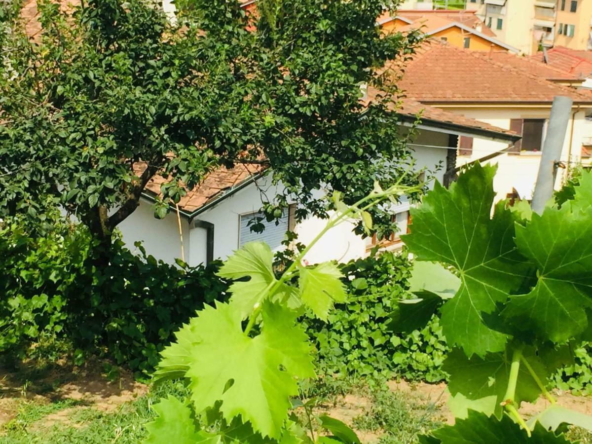 La Collina Di Albiro Affittacamere Arcola Zewnętrze zdjęcie